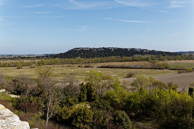 Abbaye de Montmajour-045
